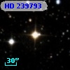 HD 239793