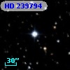 HD 239794