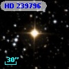 HD 239796