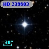 HD 239803