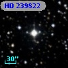 HD 239822