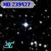 HD 239827
