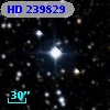 HD 239829