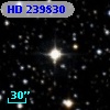 HD 239830