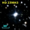 HD 239843