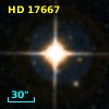HD  17667