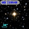 HD 239849