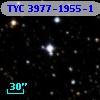 TYC 3977-1955-1