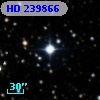 HD 239866