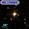 HD 239804