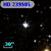 HD 239805