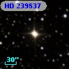 HD 239837