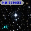 HD 239855