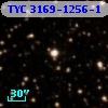 TYC 3169-1256-1