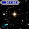 HD 239825