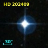 HD 202409