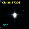 CD-28 17203
