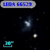 LEDA   66529