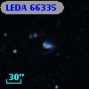 LEDA   66335
