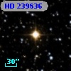 HD 239836