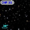 24P  31
