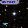 HD 239771