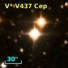 V* V437 Cep