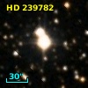 HD 239782