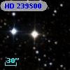 HD 239800