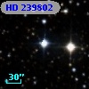 HD 239802