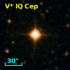 V* IQ Cep