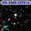 TYC 3169-1273-1