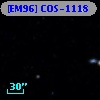 [EM96] COS-1118