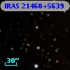 IRAS 21460+5639