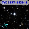 TYC 3977-1839-1