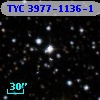 TYC 3977-1136-1