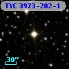 TYC 3973-202-1