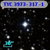 TYC 3973-317-1