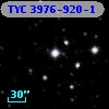 TYC 3976-920-1