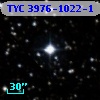 TYC 3976-1022-1