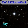 TYC 3976-1443-1