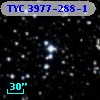 TYC 3977-288-1