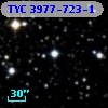 TYC 3977-723-1