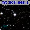 TYC 3977-1086-1