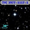 TYC 3977-1117-1