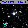TYC 3977-1130-1