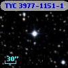TYC 3977-1151-1