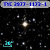 TYC 3977-1173-1