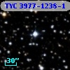 TYC 3977-1238-1