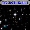 TYC 3977-1244-1